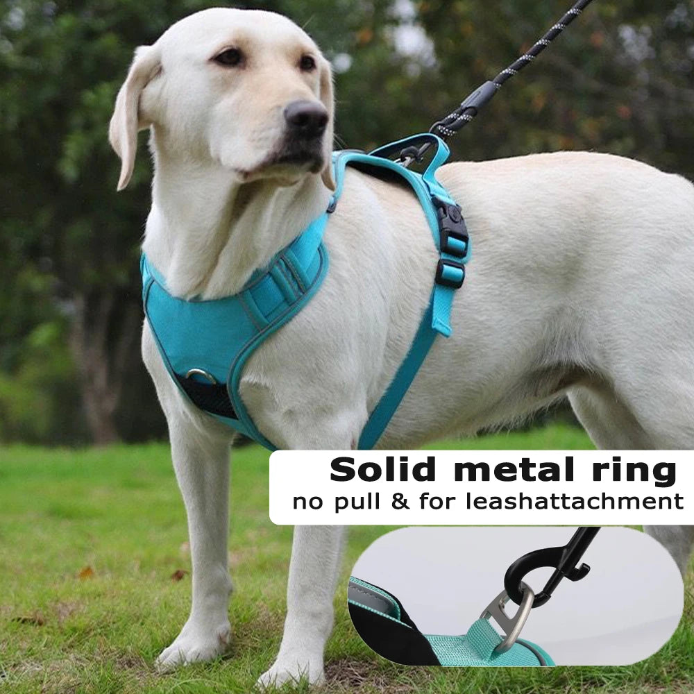 Dog Harness with Airtag Holder and Leash