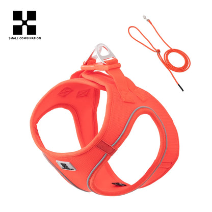 Dog Harness Leash for Walking