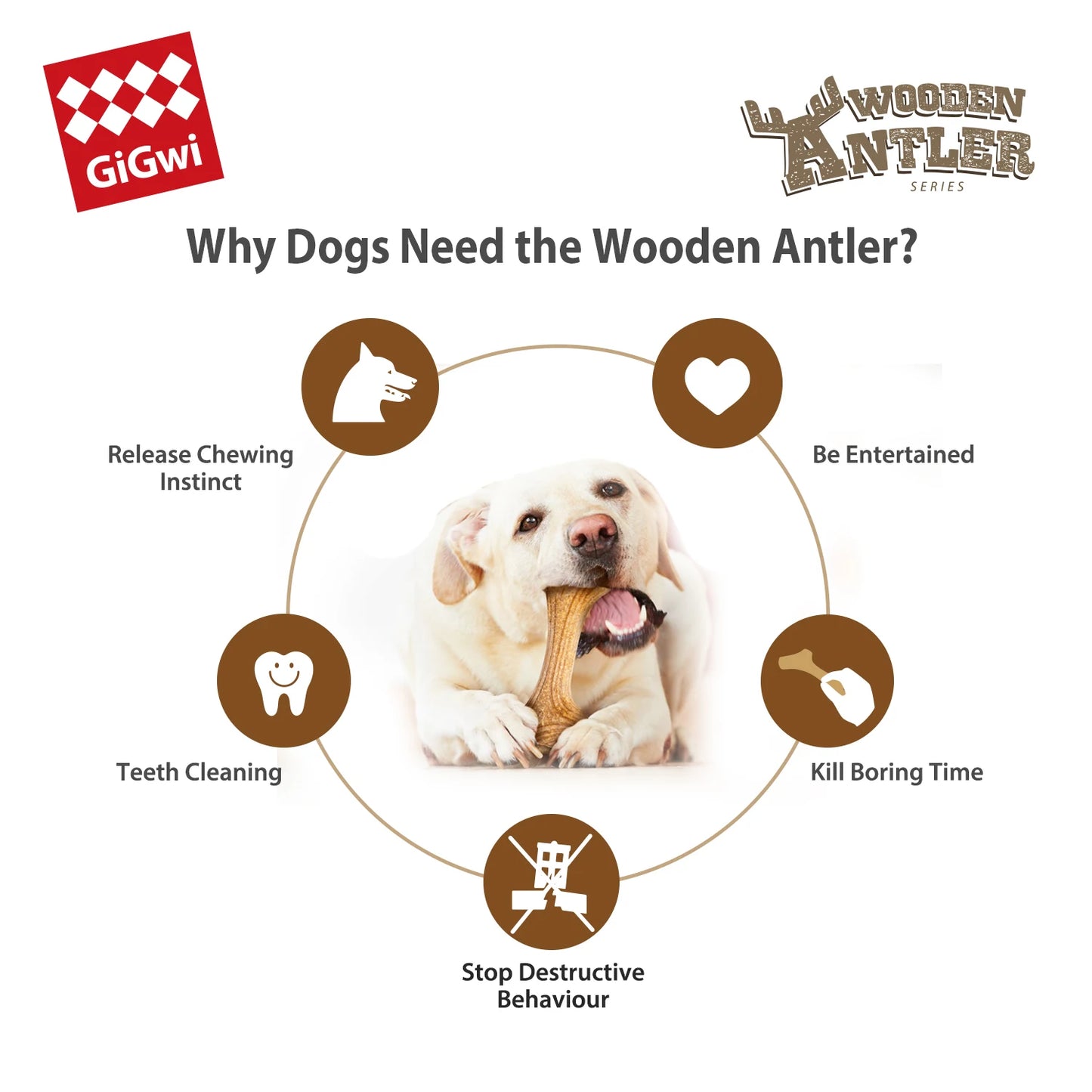Dog Chew Toys Real Wooden Deer