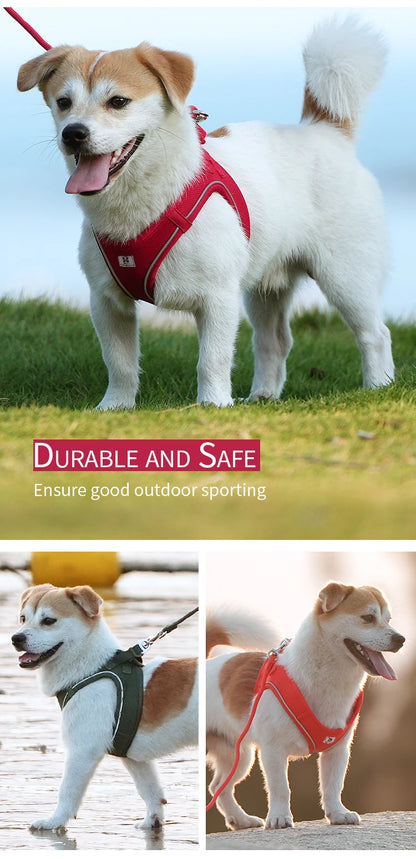 Dog Harness Leash for Walking