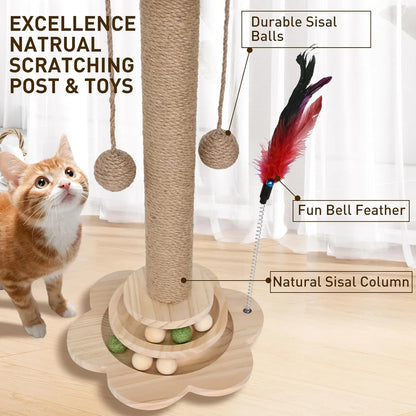 Cat Scratch Board Toy