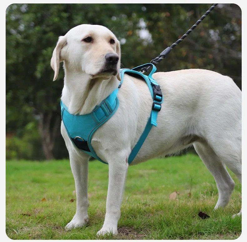 Dog Harness with Airtag Holder and Leash