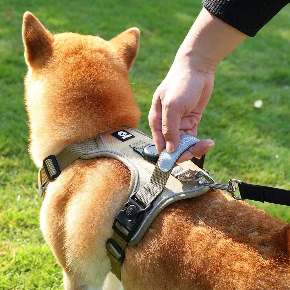 Dog Harness with Airtag Holder and Leash