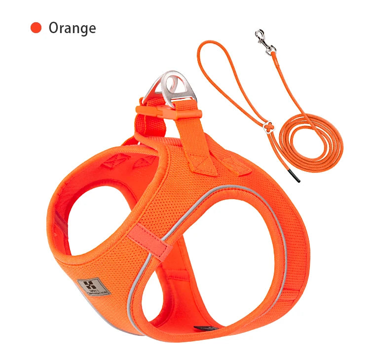 Dog Harness Leash for Walking