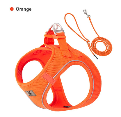 Dog Harness Leash for Walking