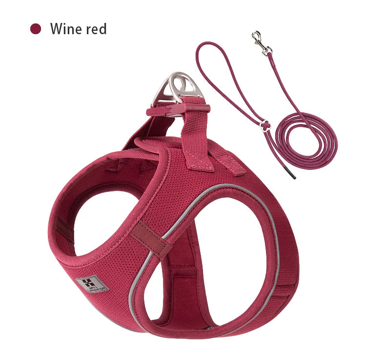 Dog Harness Leash for Walking