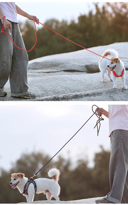 Dog Harness Leash for Walking