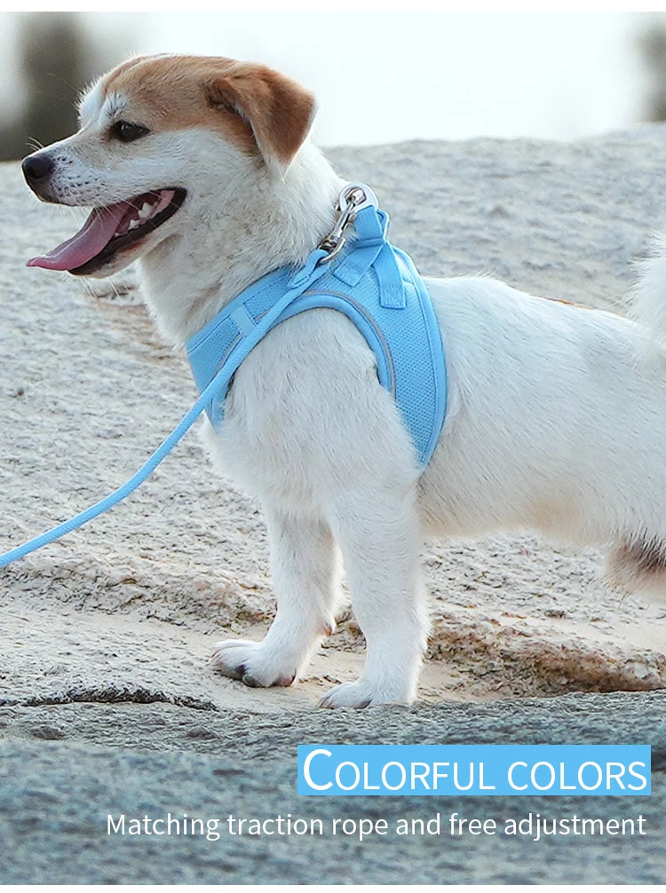 Dog Harness Leash for Walking