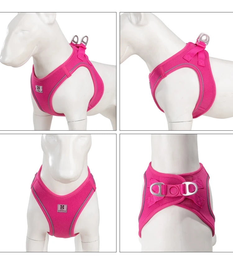 Dog Harness Leash for Walking