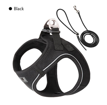 Dog Harness Leash for Walking